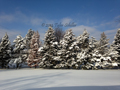 Wisconsin 2014 Cold