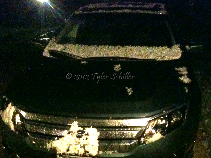 Hail on Car - Waukesha, WI - September 2012