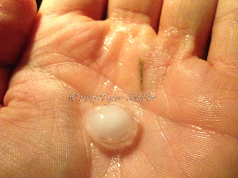 Hail - Waukesha, Wisconsin - August 2013