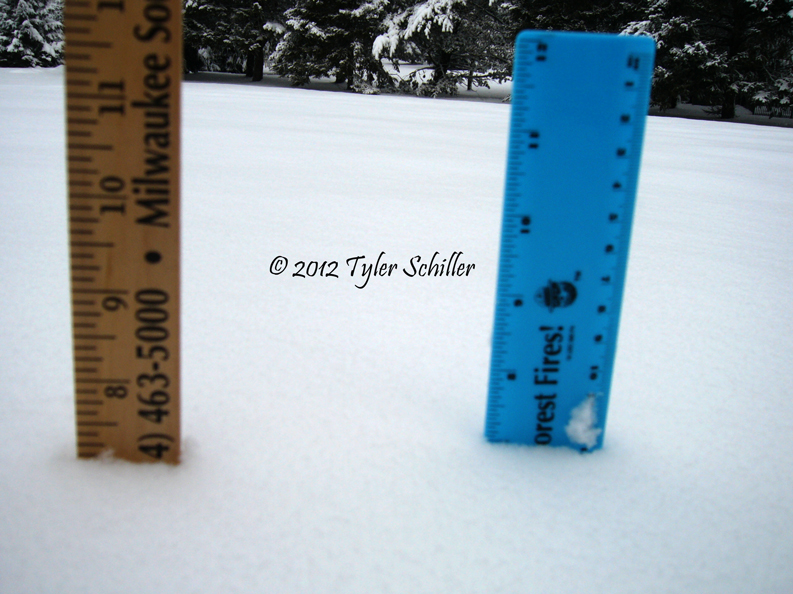 Snowfall - Waukesha, Wisconsin - February 24, 2012