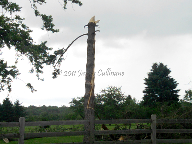 Wind damage - Dousman, Wisconsin