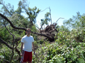 RFD Damage
