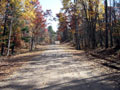 Fall Road