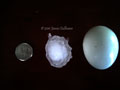 Hail Size