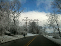 Snow on Trees